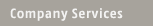 Customer service